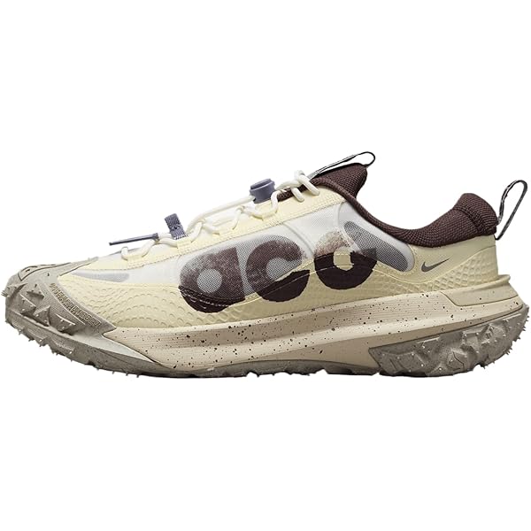 Amazon.com | Nike Mens ACG Mountain Fly Low SE DO9334 100